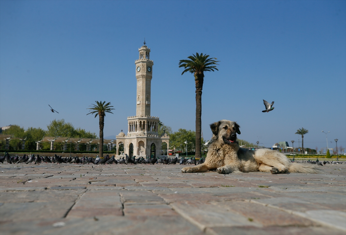 Yasak sonrası İzmir hayalet şehre dönüştü!
