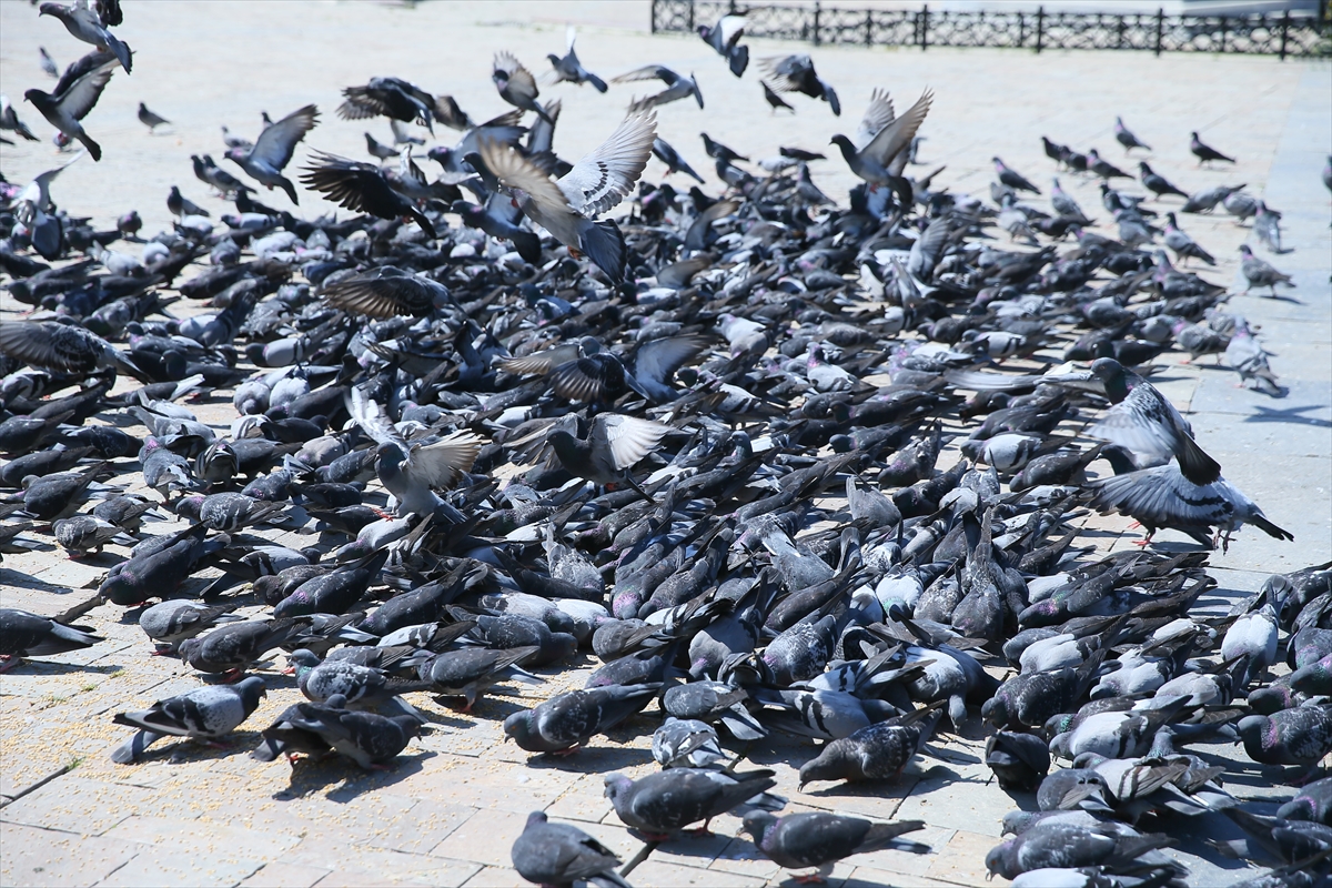 İzmir'in meydanlarında korona sessizliği!