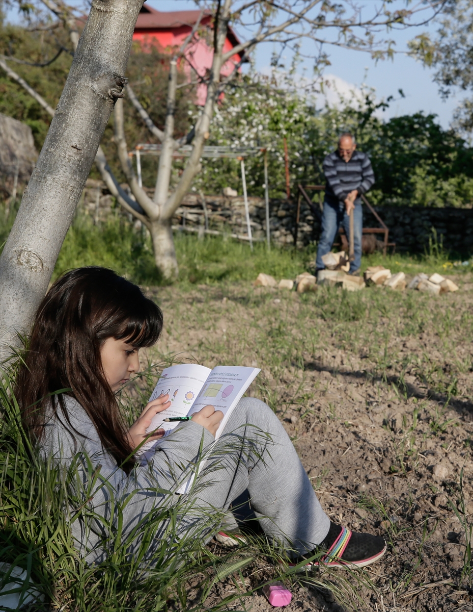 'Dağ evleri'ne Kovid-19 nedeniyle erken çıktılar