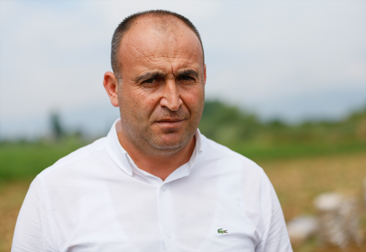 Ödemiş'te patates hasadı tam gaz!