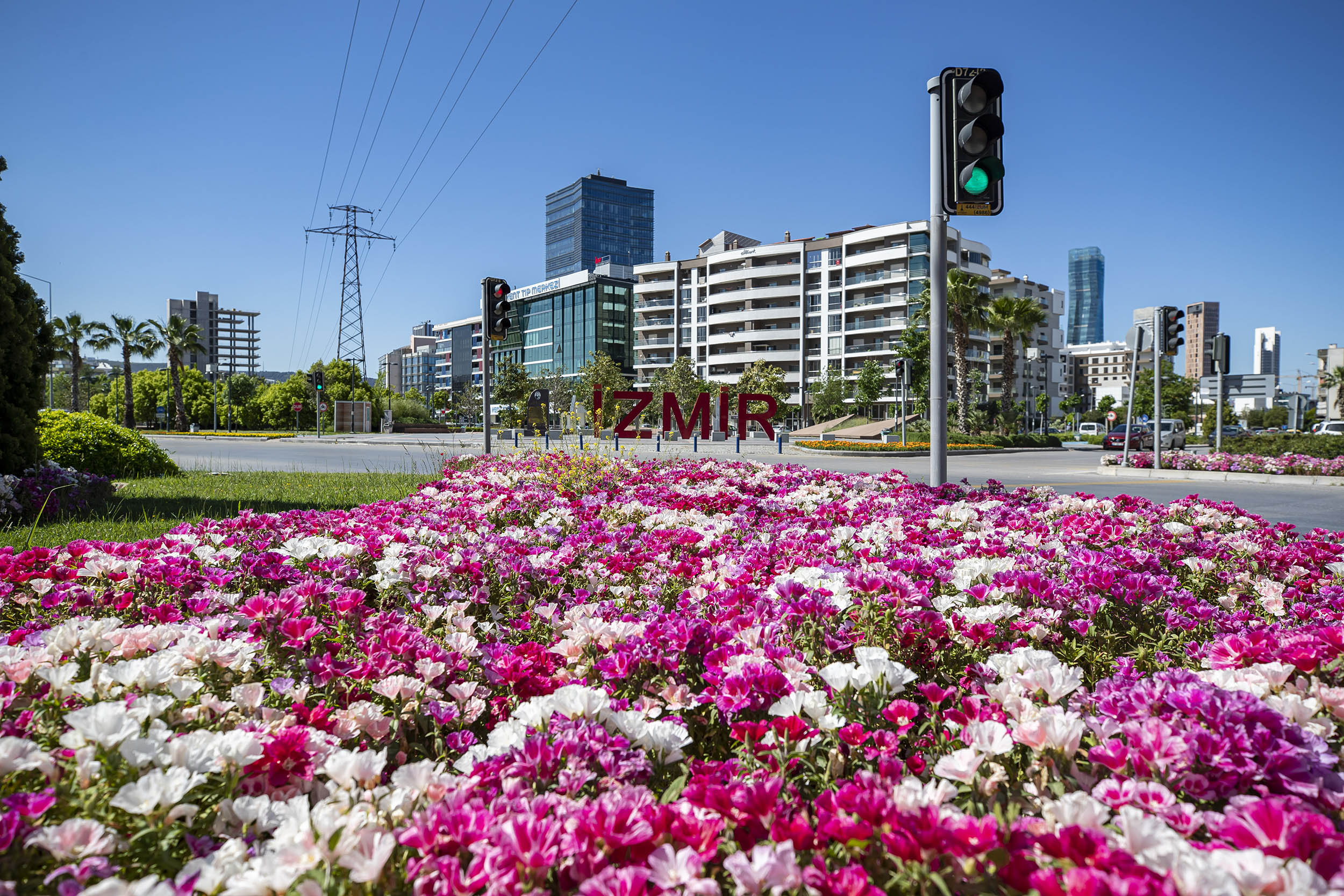 İzmir'den iç açıcı görüntüler