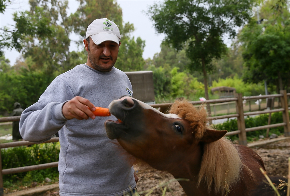 Doğal Yaşam Parkı'ndan gülümseten kareler