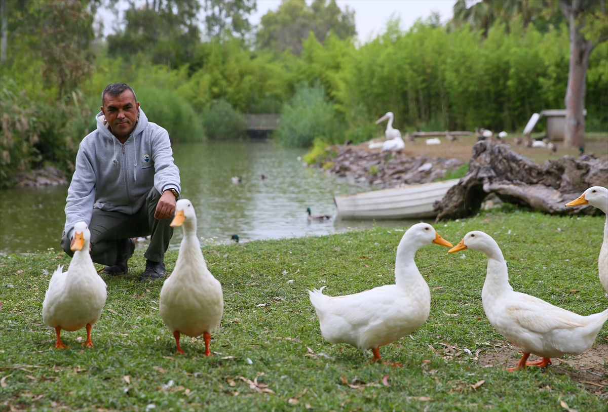 Doğal Yaşam Parkı'ndan gülümseten kareler