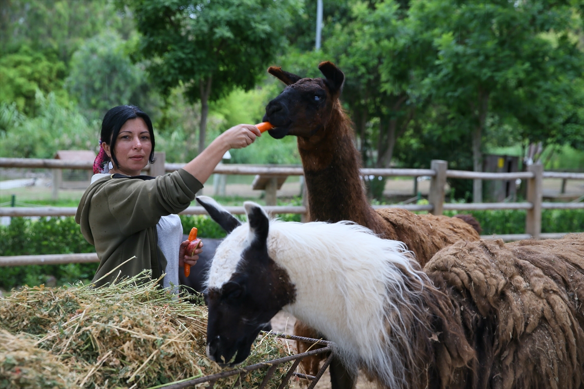 Doğal Yaşam Parkı'ndan gülümseten kareler