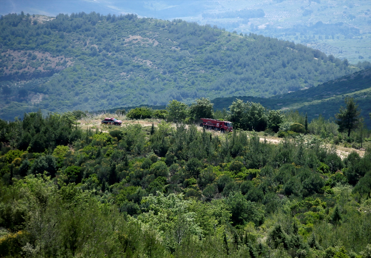 Bülbüldağı, eski günlerine döndü!