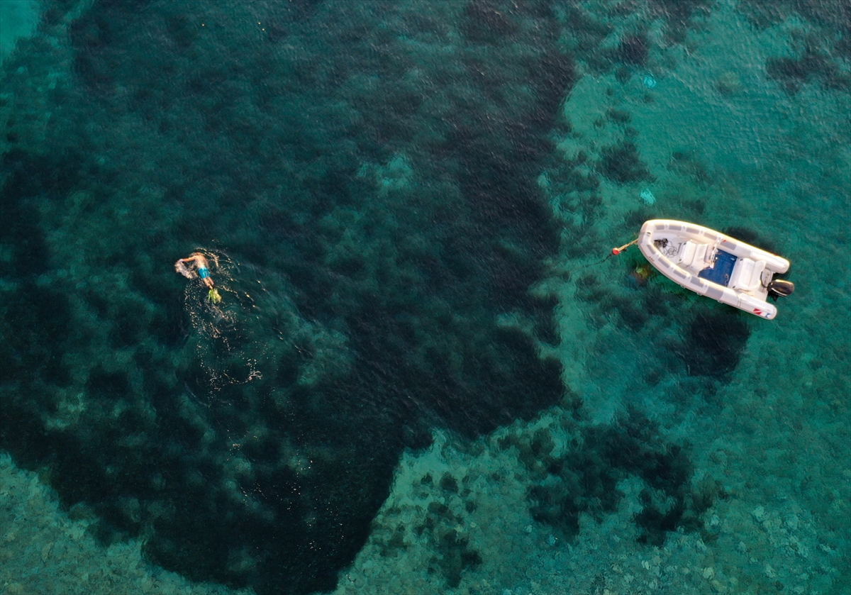 Karaburun su altı güzellikleri ilgi çekiyor