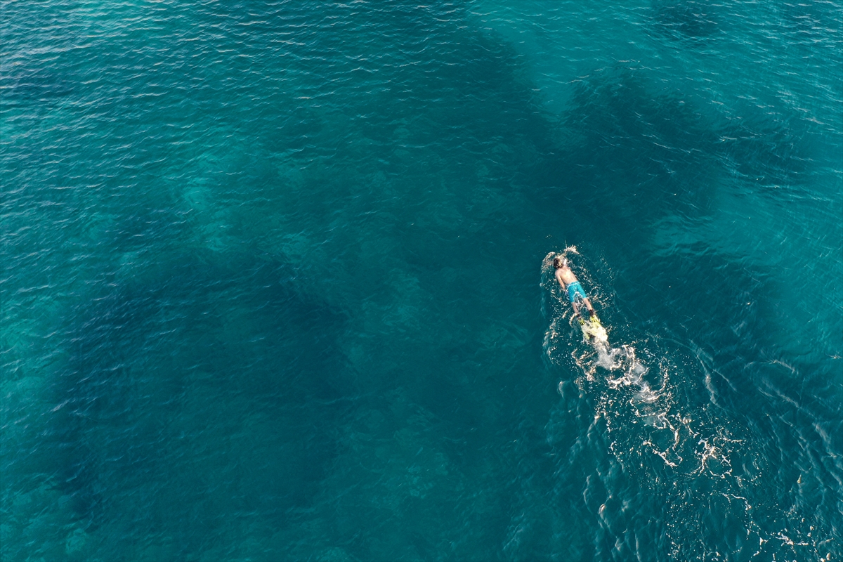 Karaburun su altı güzellikleri ilgi çekiyor