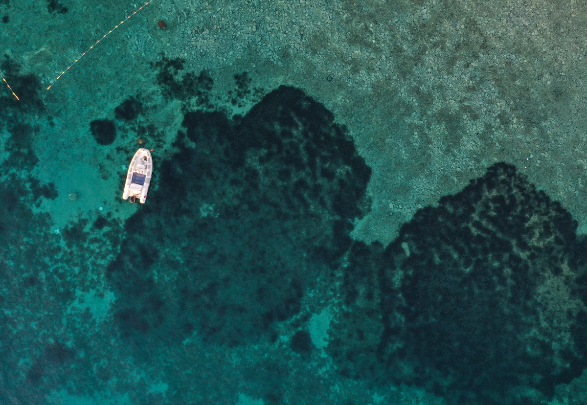 Karaburun su altı güzellikleri ilgi çekiyor