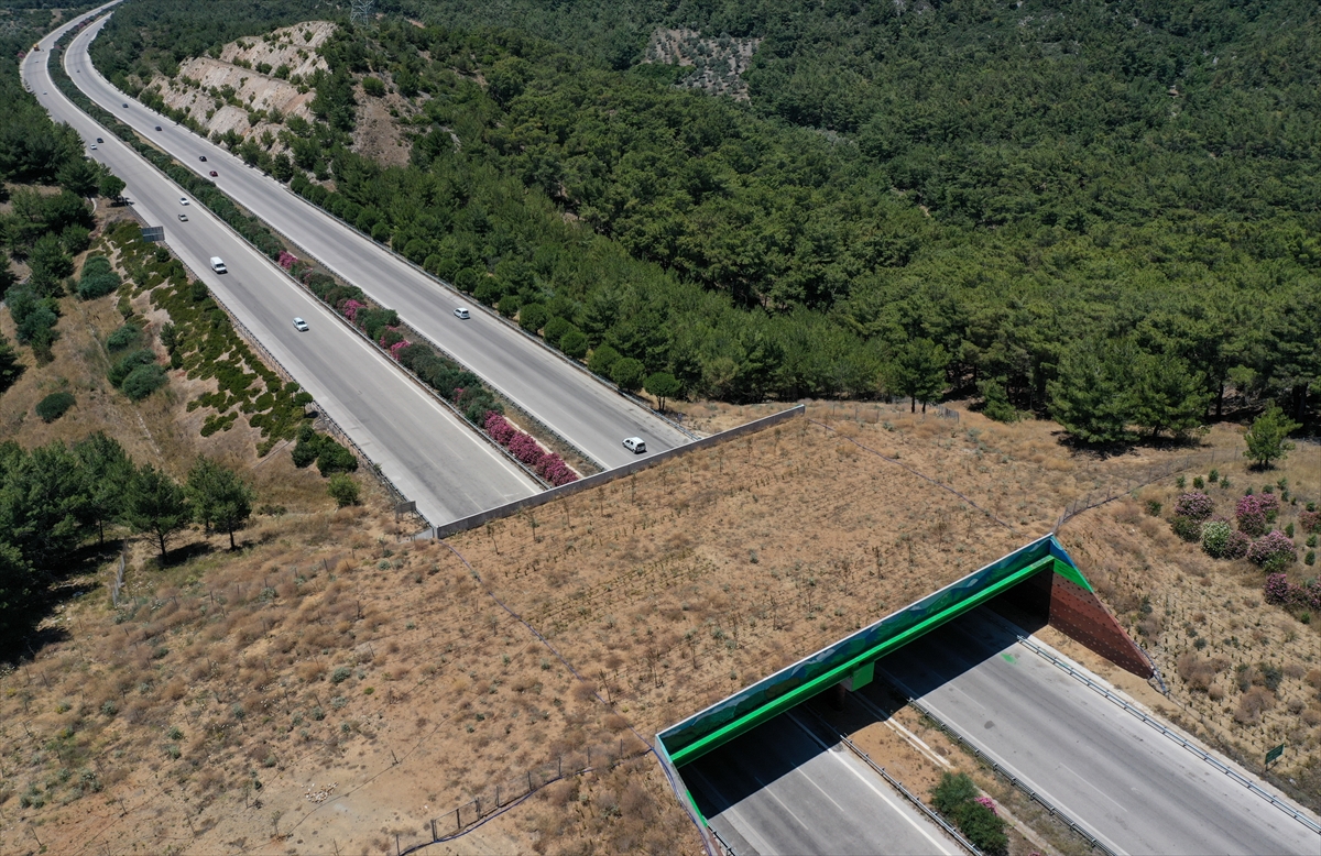 İzmir-Çeşme Otoyolu üzerindeki ekolojik köprünün yapımı tamamlandı