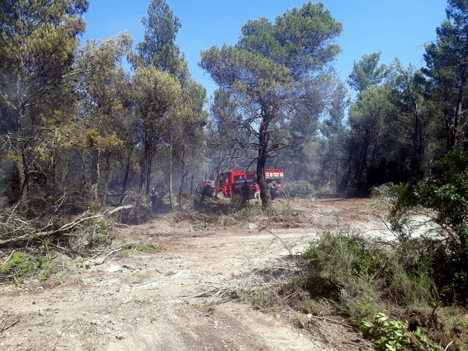 İzmir'de organ yangını! Müdahalede uçak farkı!