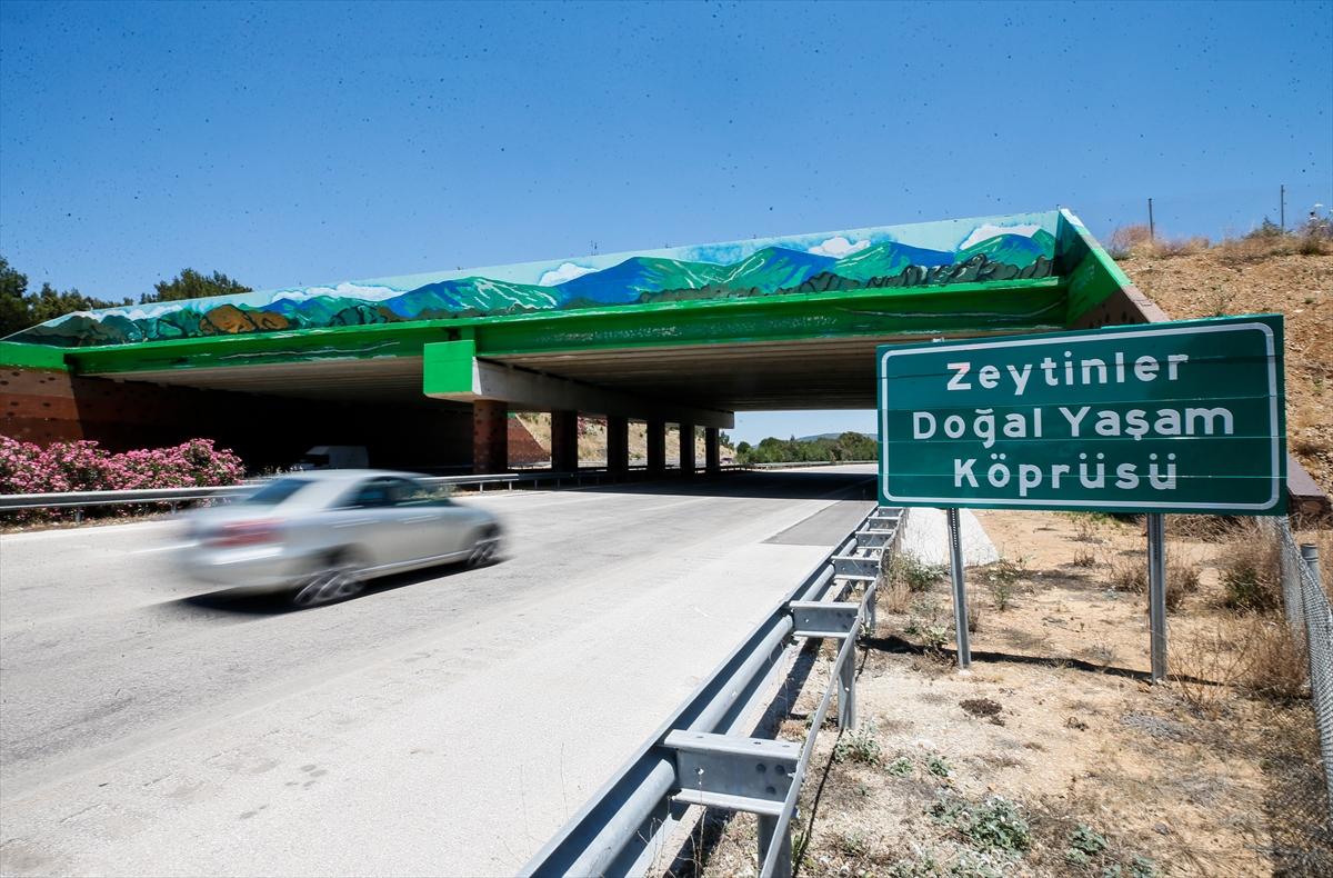 İzmir-Çeşme Otoyolu üzerindeki ekolojik köprünün yapımı tamamlandı