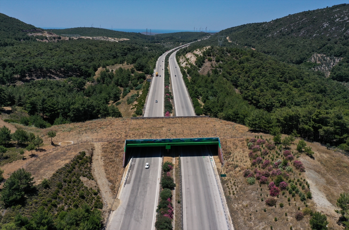 İzmir-Çeşme Otoyolu üzerindeki ekolojik köprünün yapımı tamamlandı