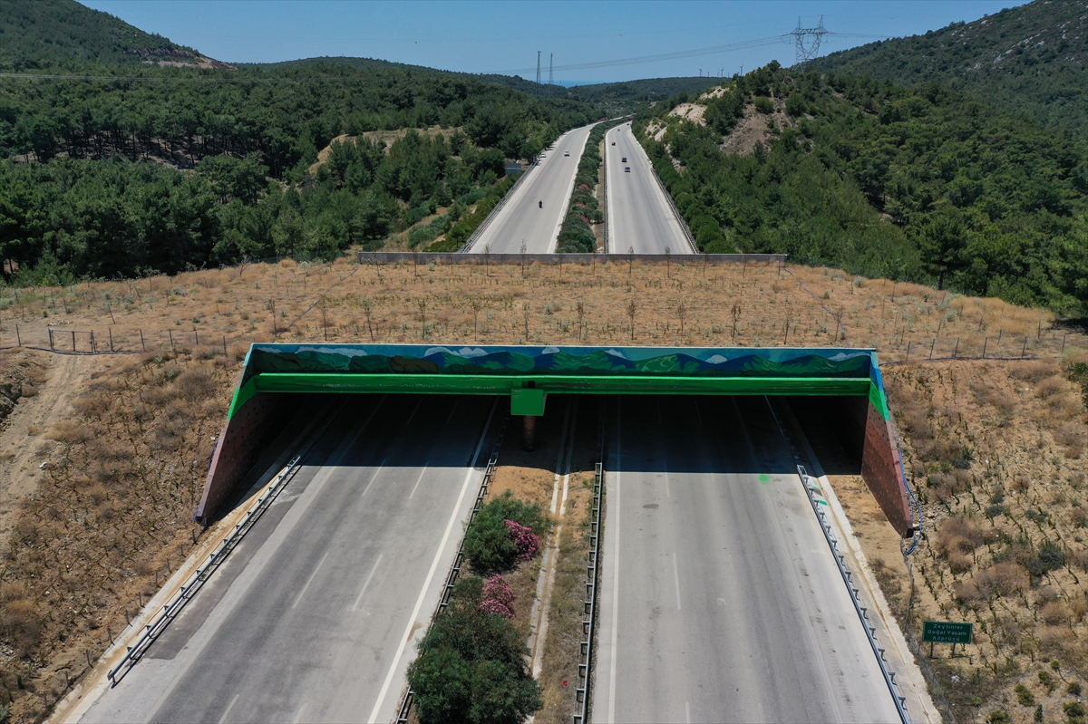 İzmir-Çeşme Otoyolu üzerindeki ekolojik köprünün yapımı tamamlandı