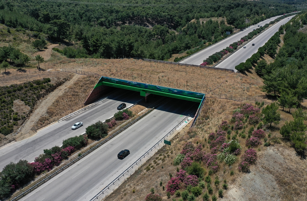 İzmir-Çeşme Otoyolu üzerindeki ekolojik köprünün yapımı tamamlandı