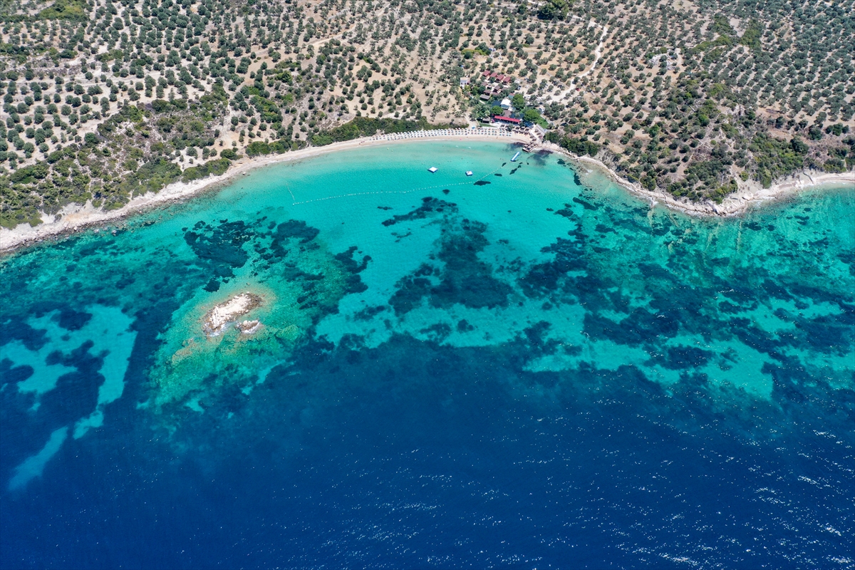 'İzole' tatilin adresi: Dikili koyları