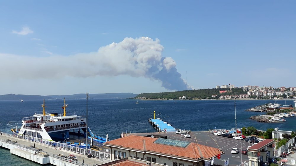 Gelibolu Yarımadası'nda orman yangını