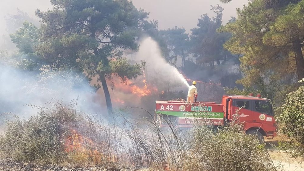 Gelibolu Yarımadası'nda orman yangını