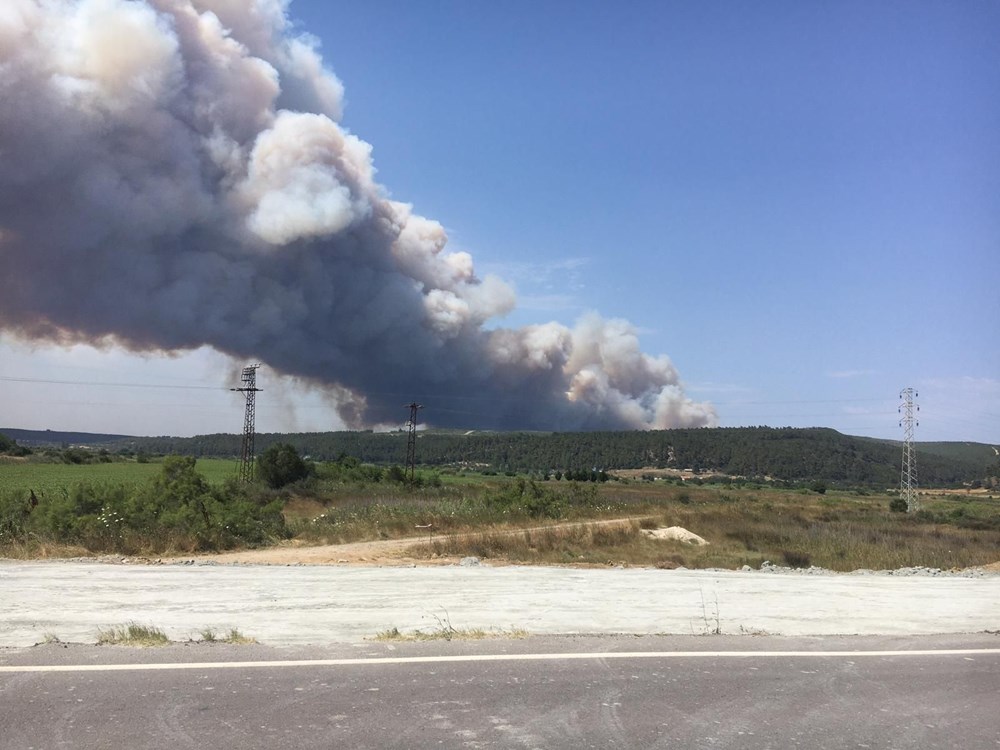 Gelibolu Yarımadası'nda orman yangını