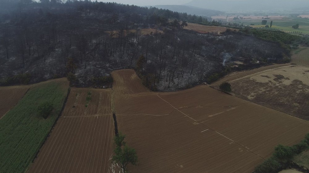 Gelibolu'daki yangının boyutu gün ağarınca ortaya çıktı