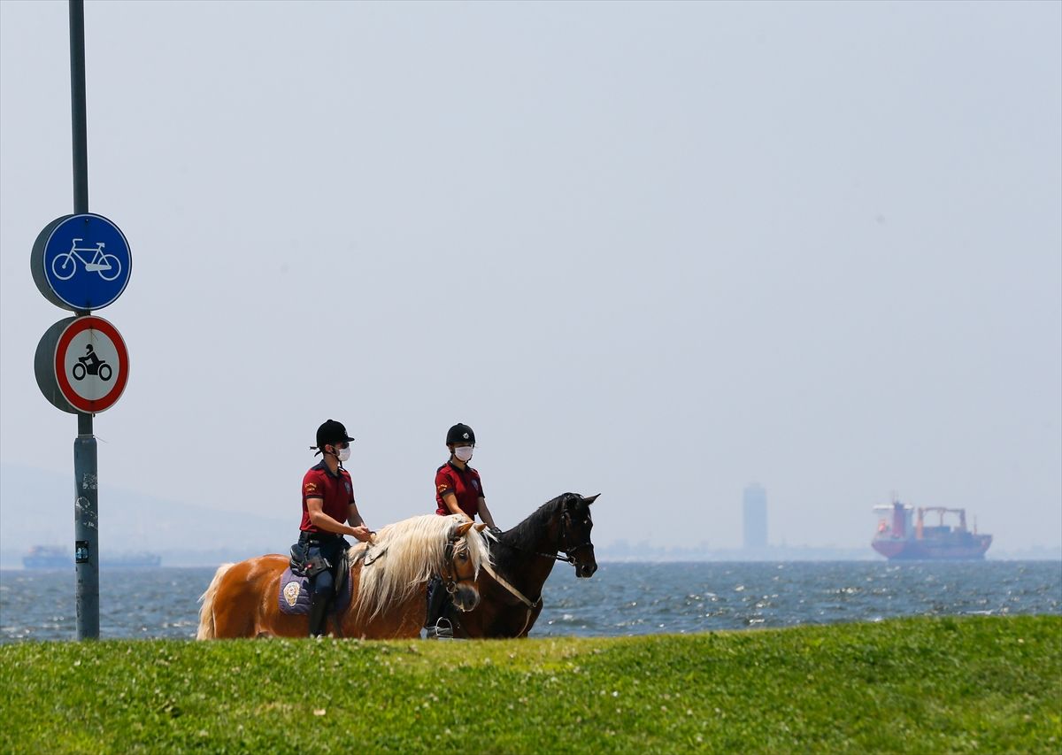 İzmir'in fayton atları polis oldu!