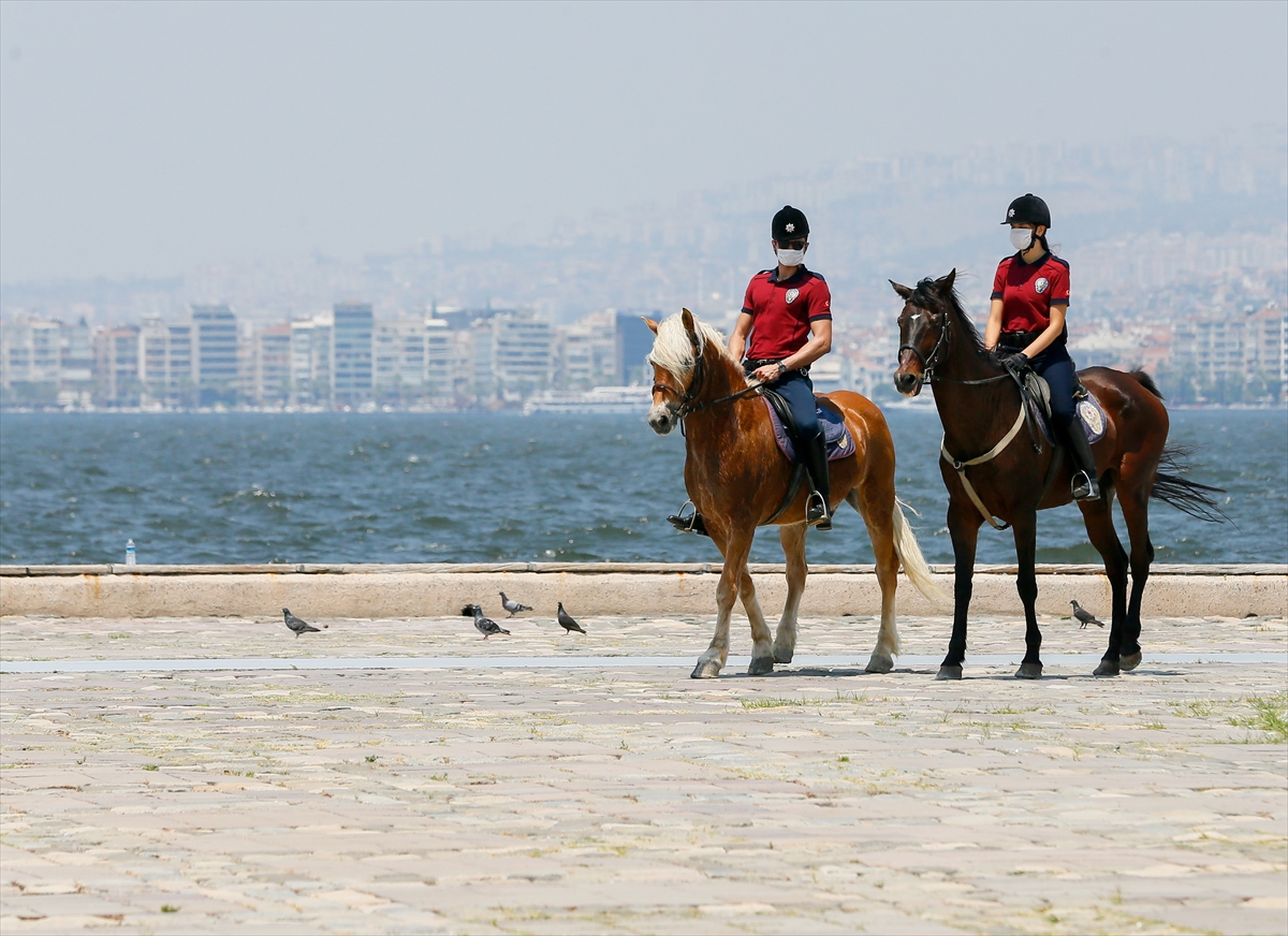 İzmir'in fayton atları polis oldu!