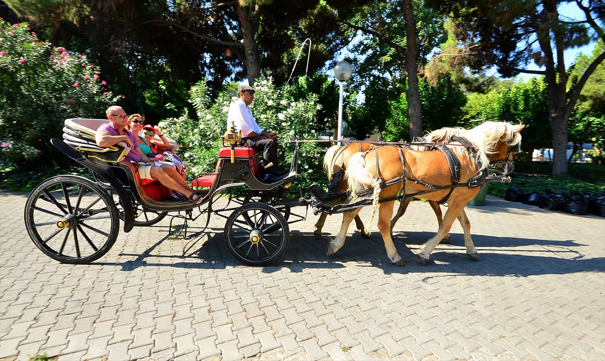 İzmir'in fayton atları polis oldu!