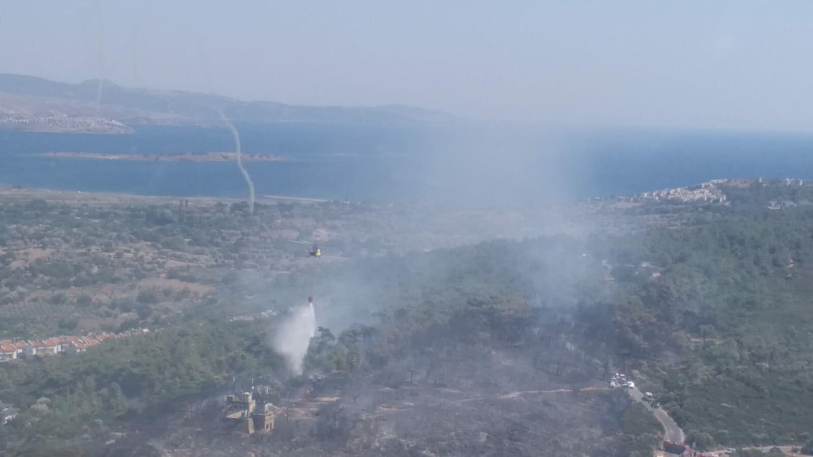 Sığacık'ta kahreden orman yangını!