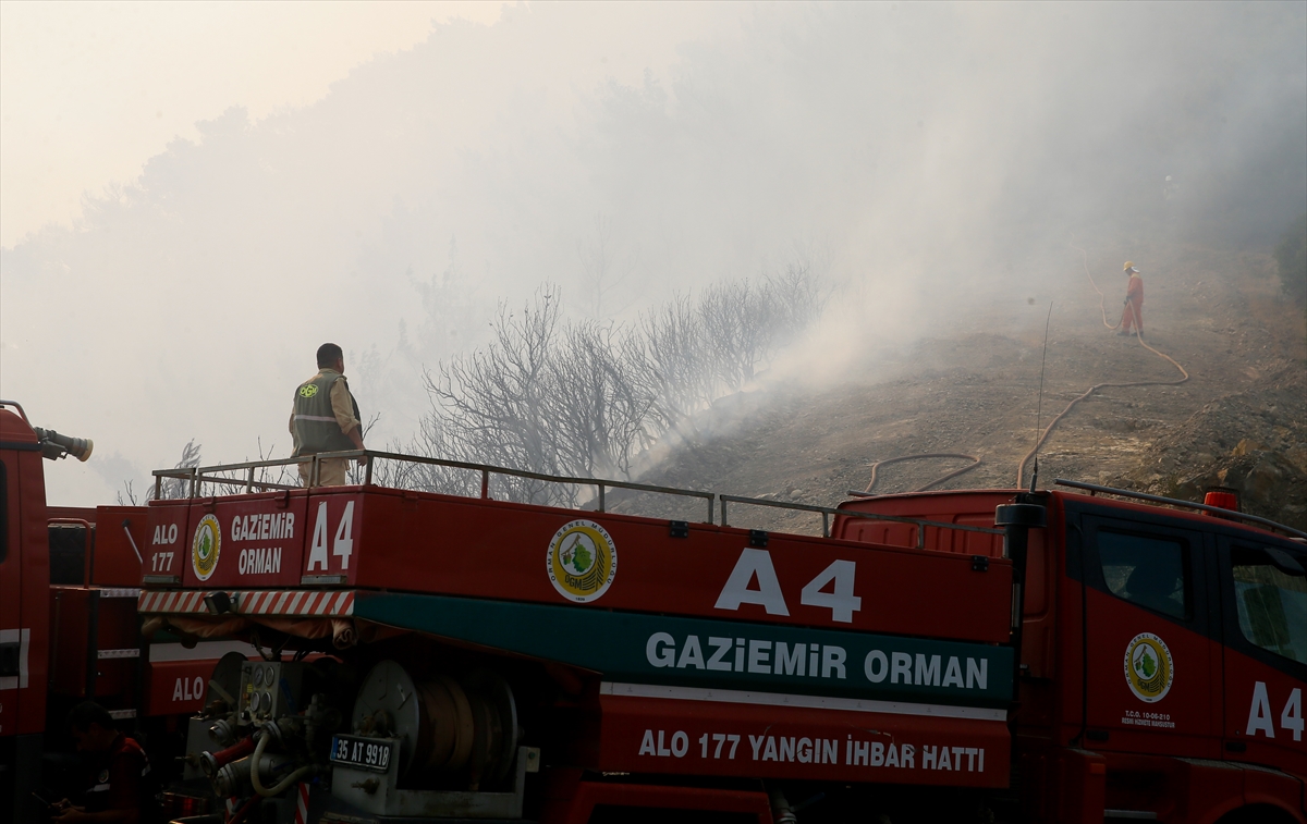 Balçova'da orman yangını