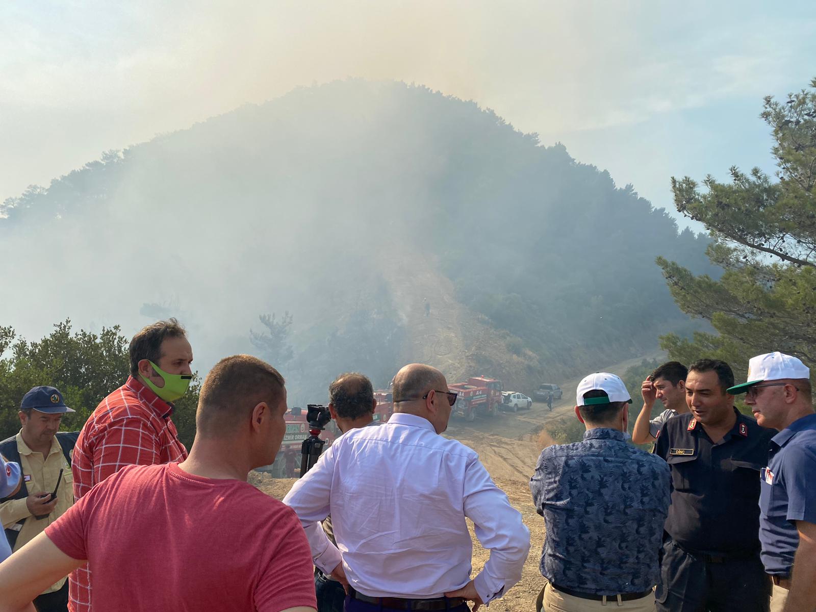 Balçova'da orman yangını