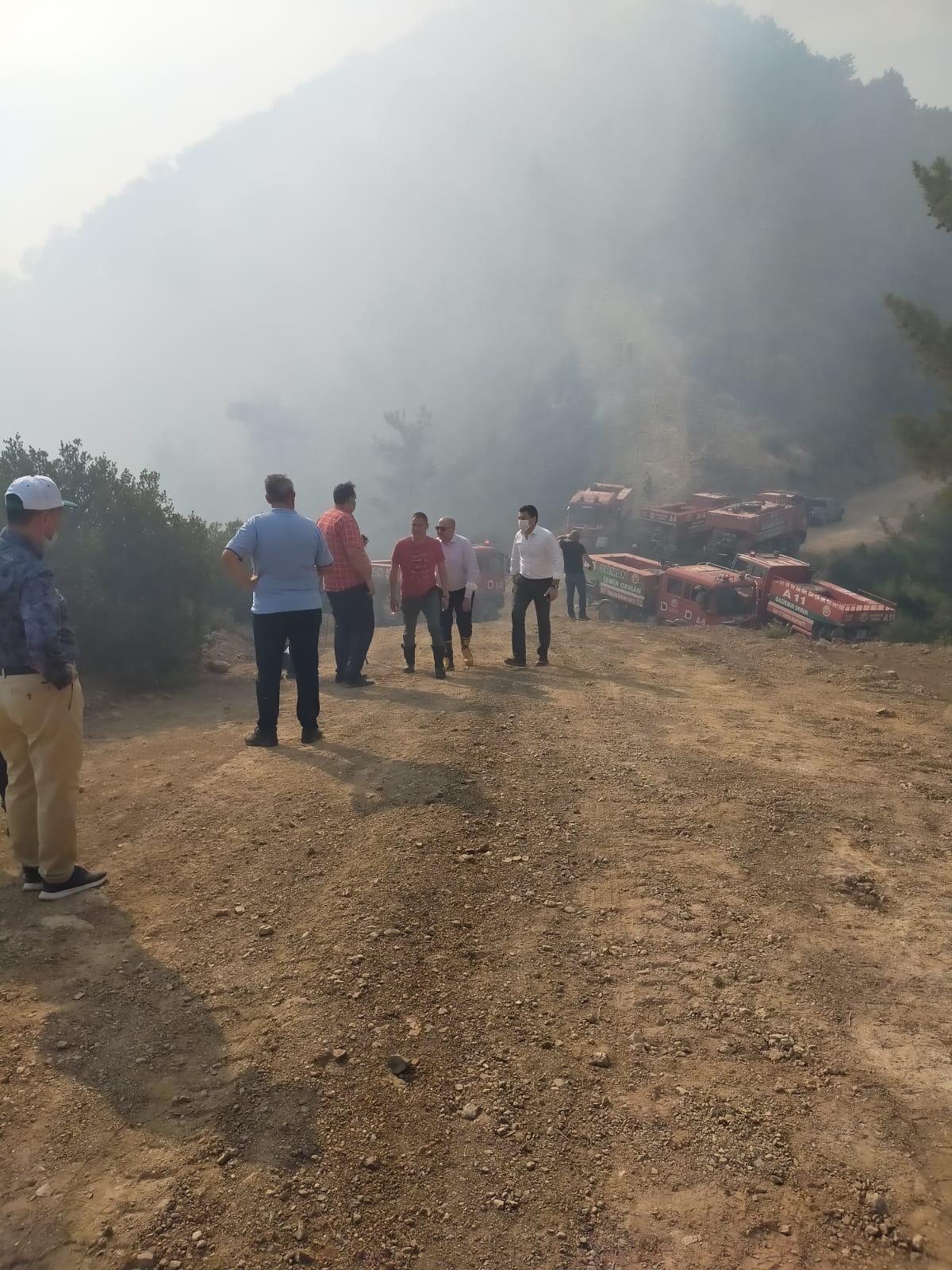 Balçova'da orman yangını