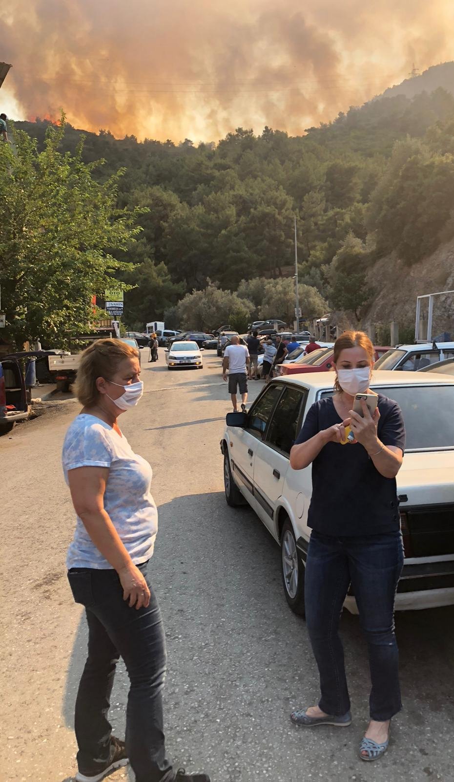 Balçova'da orman yangını