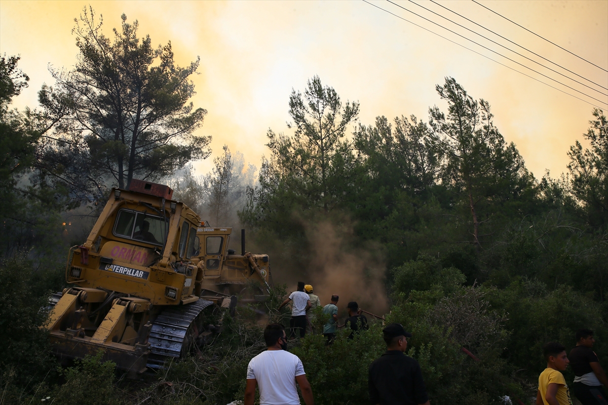 Menderes'te orman yangını!