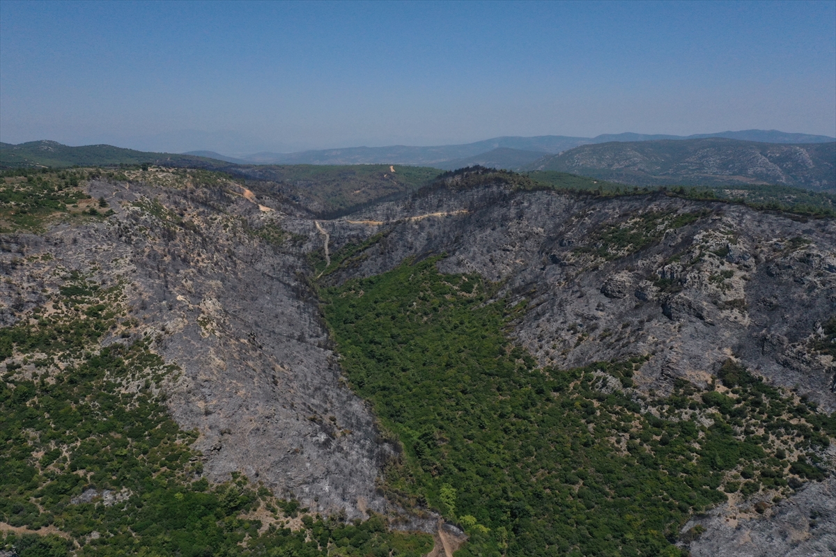 Menderes'teki yangının tahribatı görüntülendi