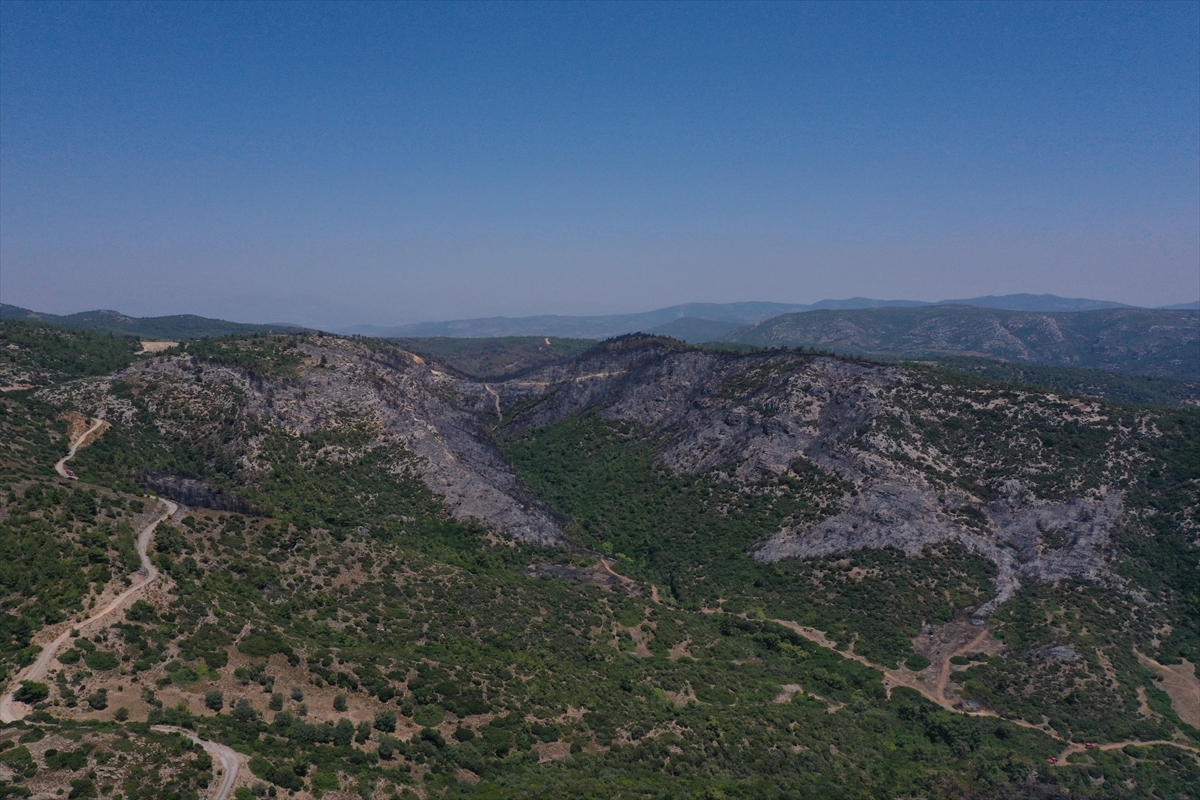 Menderes'teki yangının tahribatı görüntülendi
