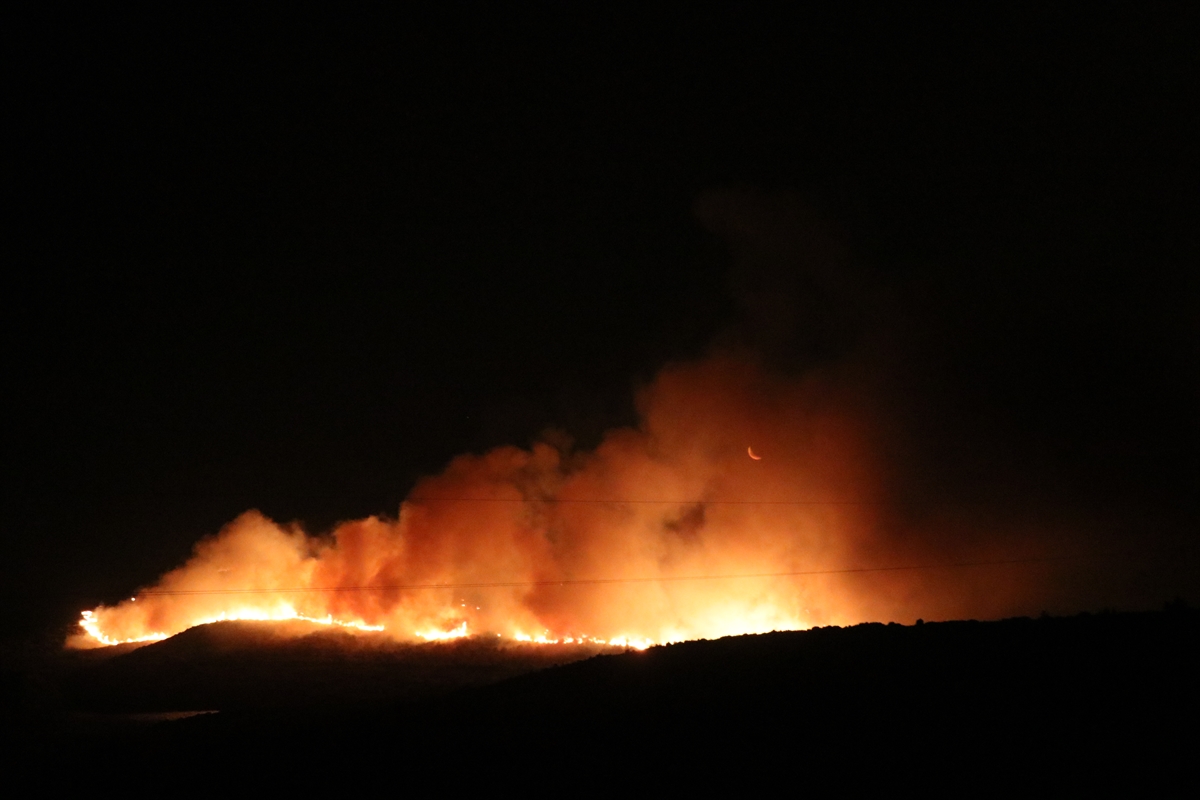 Çeşme Ildır'ı orman yangını