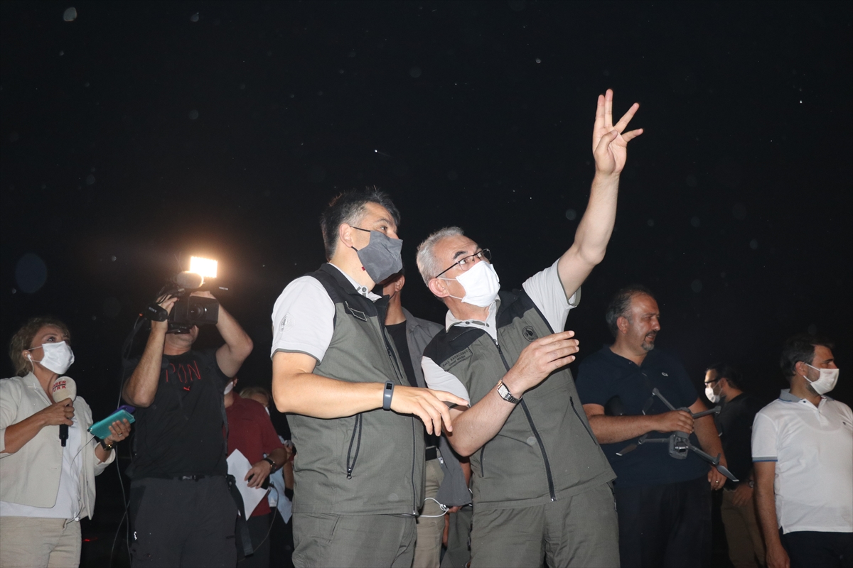 Çeşme Ildır'ı orman yangını