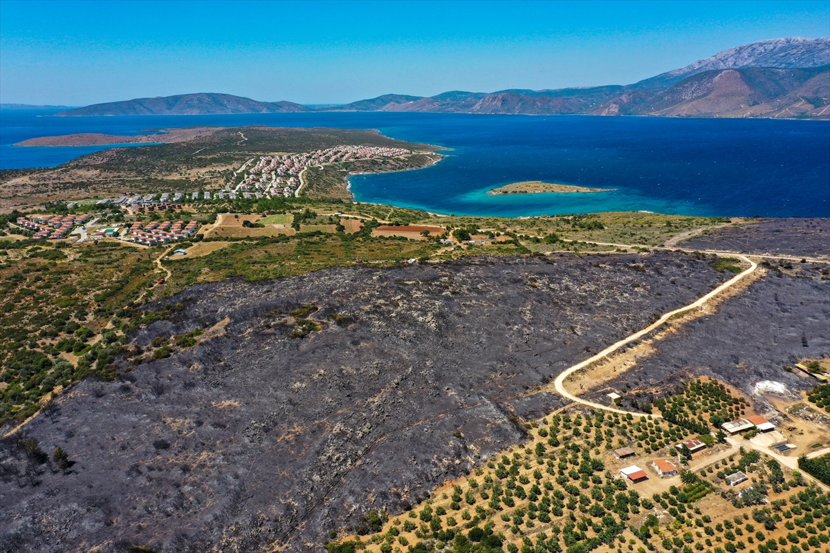 Çeşme'deki yangının tahribatı havadan görüntülendi