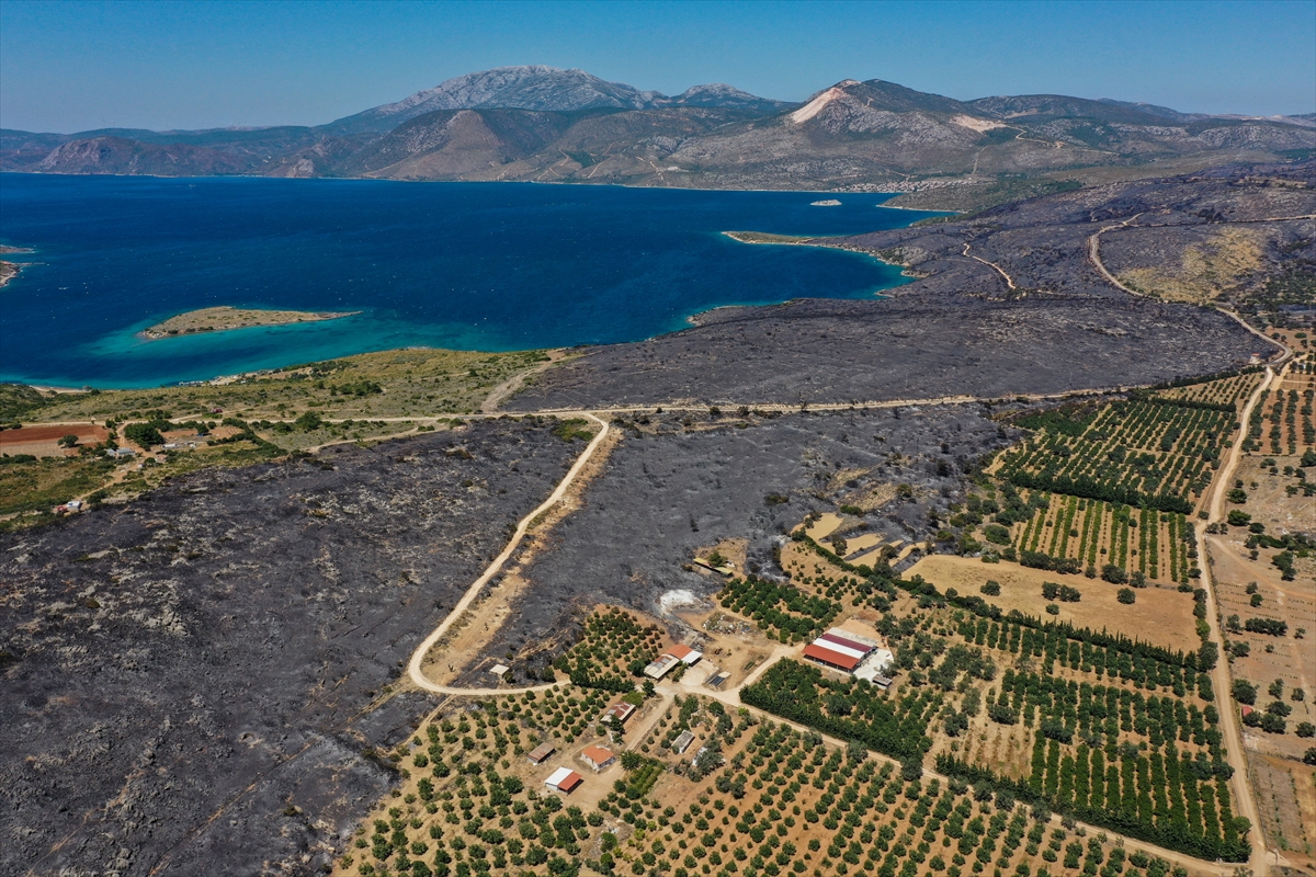 Çeşme'deki yangının tahribatı havadan görüntülendi