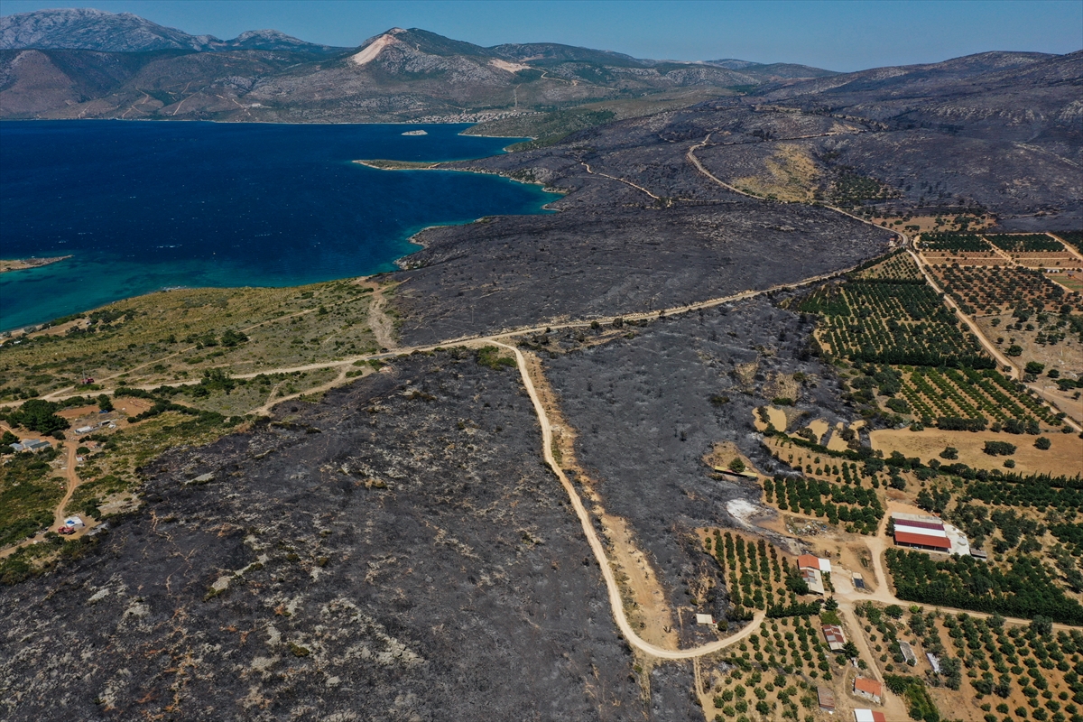 Çeşme'deki yangının tahribatı havadan görüntülendi