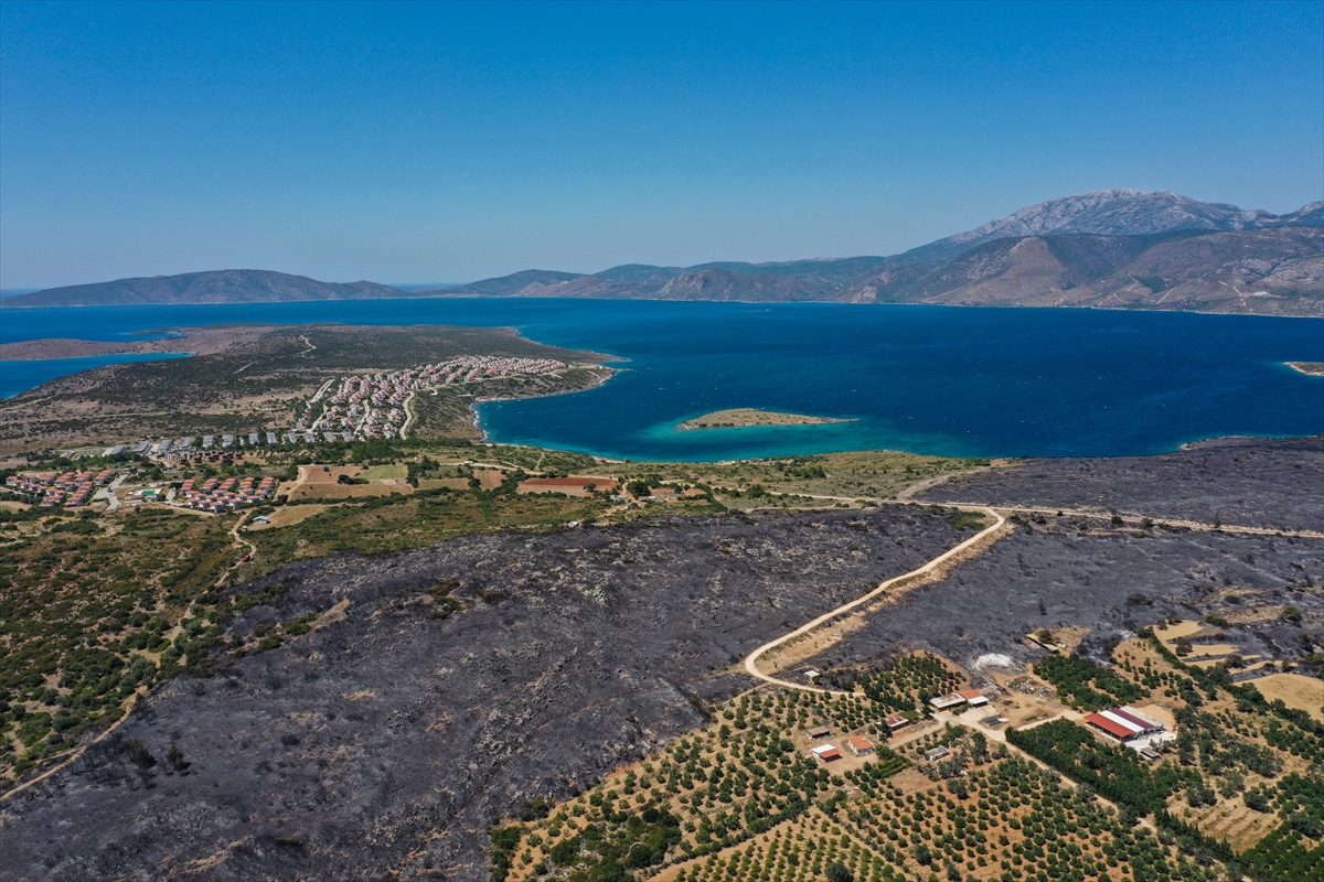 Çeşme'deki yangının tahribatı havadan görüntülendi