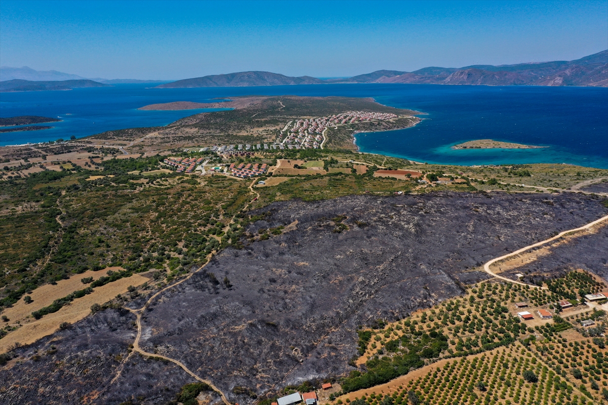 Çeşme'deki yangının tahribatı havadan görüntülendi
