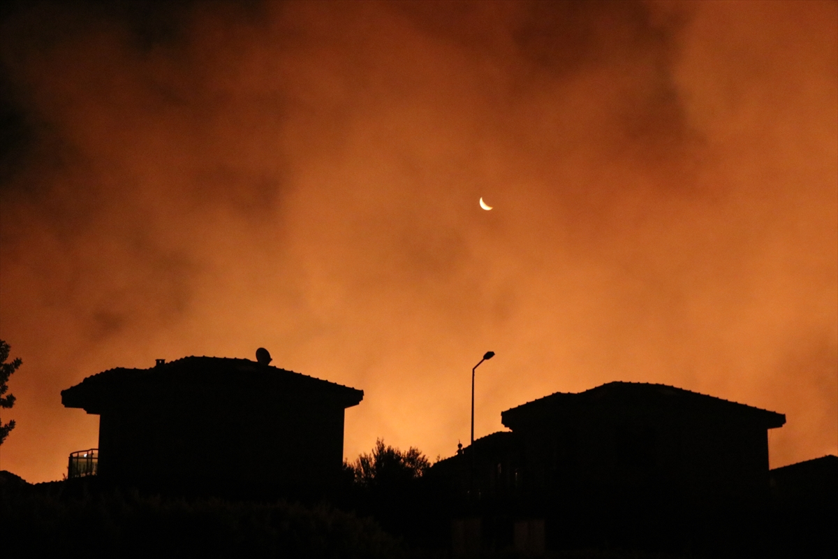 Çeşme Ildır'ı orman yangını