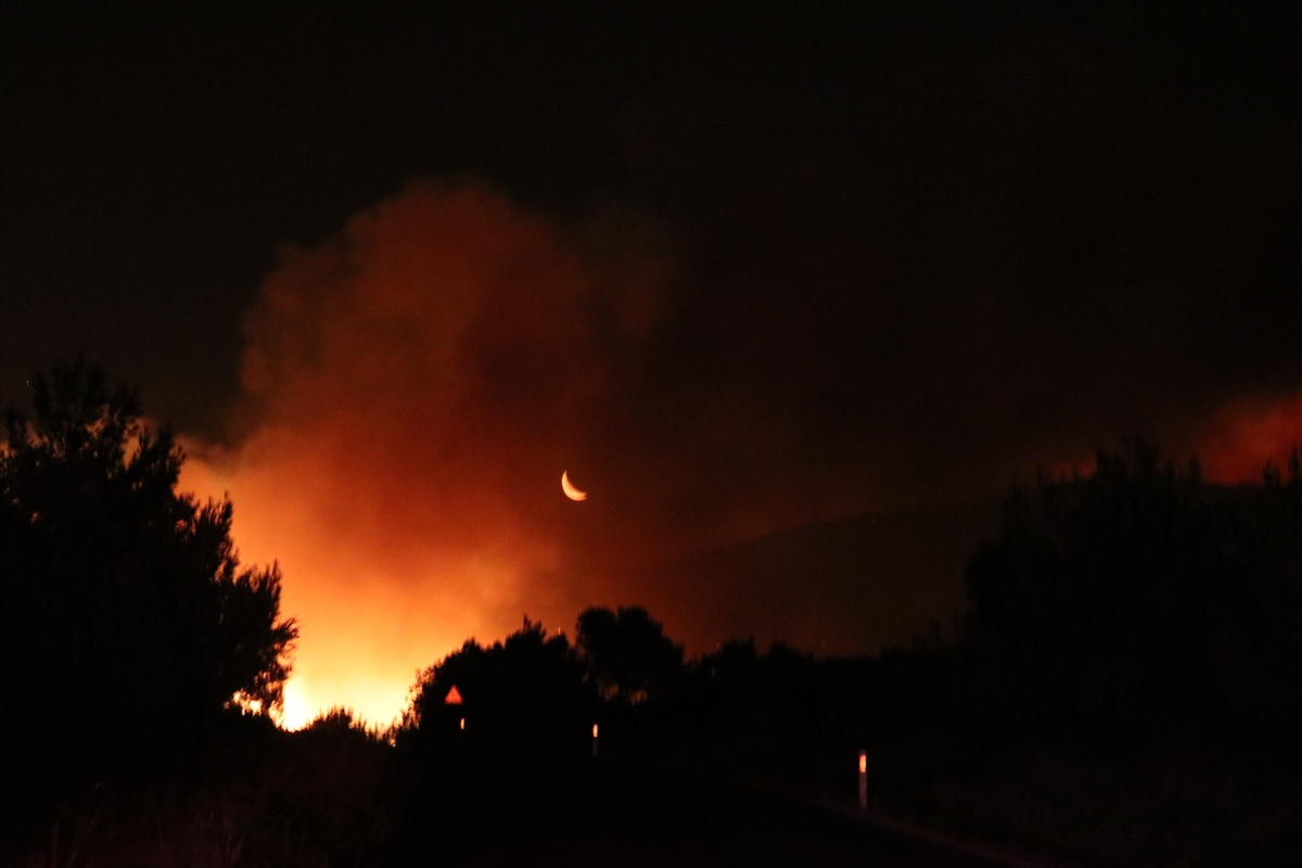 Çeşme Ildır'ı orman yangını