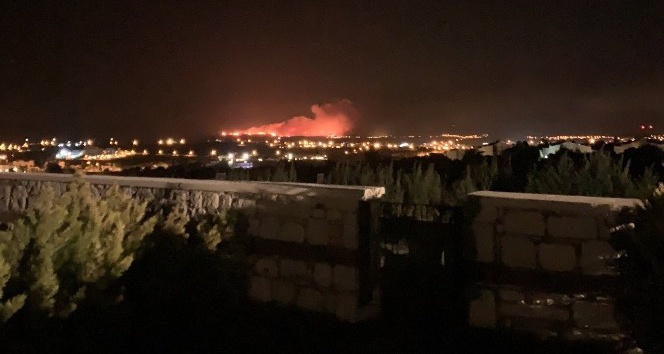 Çeşme Ildır'ı orman yangını