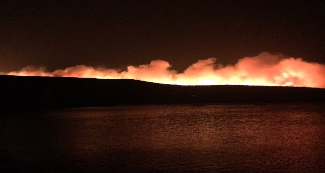 Çeşme Ildır'ı orman yangını