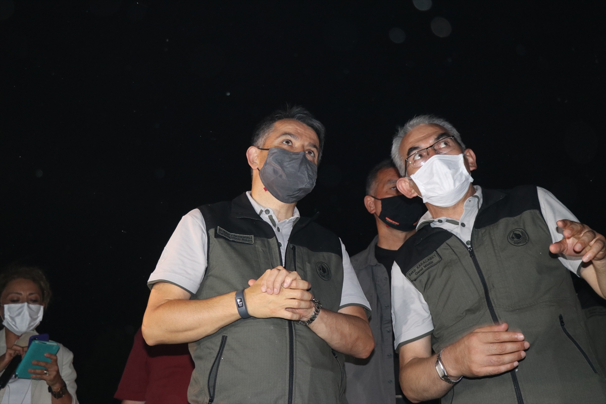 Çeşme Ildır'ı orman yangını