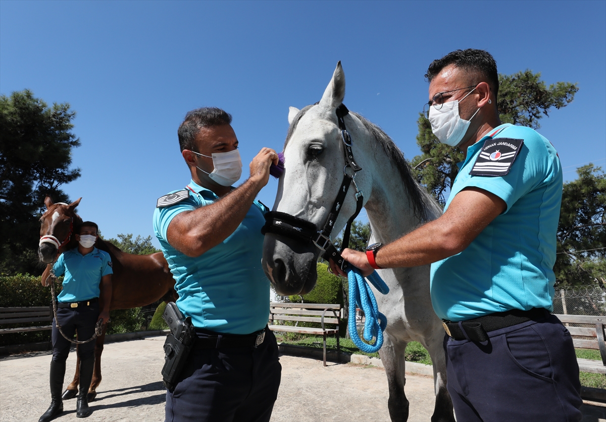 İzmir'de plajların güvenliği atlı jandarmaya emanet!