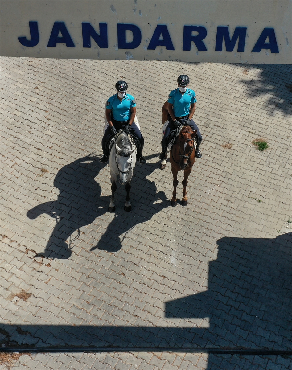 İzmir'de plajların güvenliği atlı jandarmaya emanet!