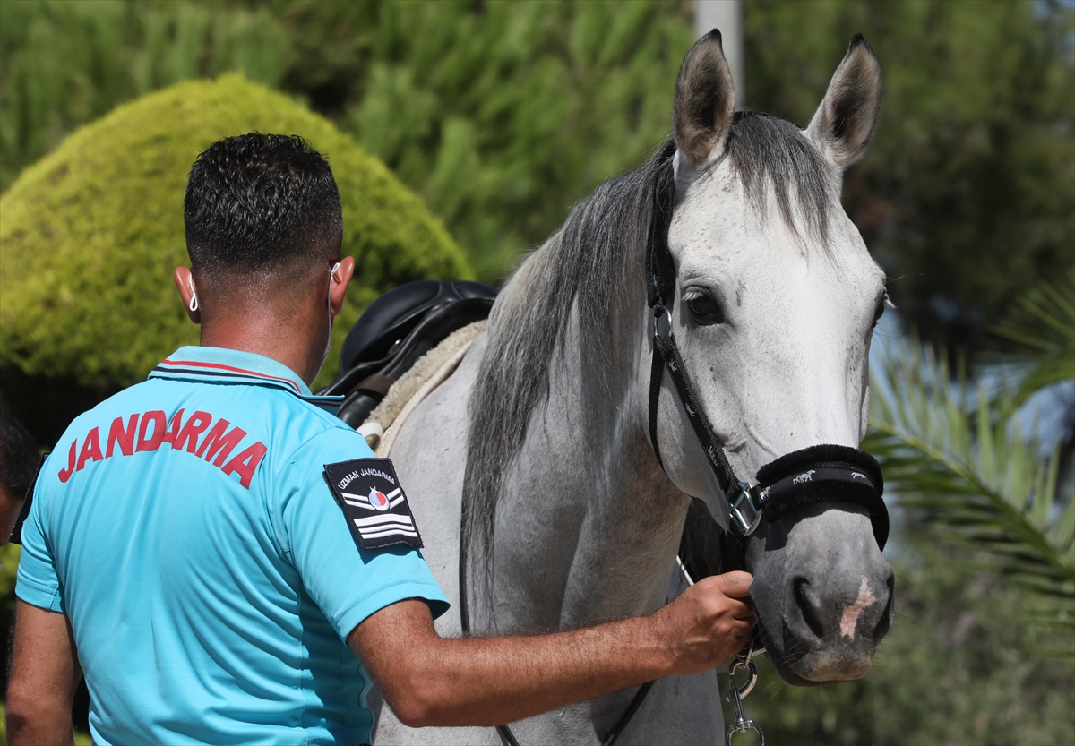 İzmir'de plajların güvenliği atlı jandarmaya emanet!