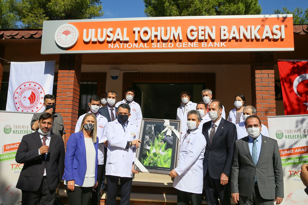 İzmir'de Arıcılık Ar-Ge ve İnovasyon Merkezi açıldı